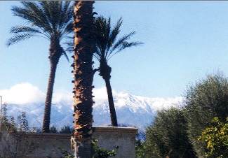 Palm Desert - Desert Falls