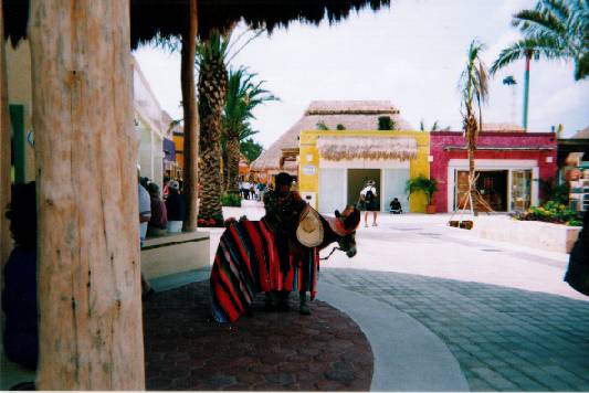 Cozumel Market